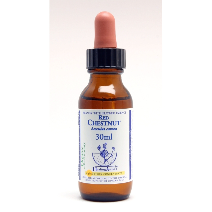 Red Chestnut Healing Herbs 30 ml (Marronnier Rouge) Healing Herbs 1 - mesfleursdebach.com 