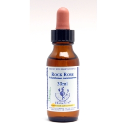 Rock Rose Healing Herbs 30 ml (Hélianthème) Healing Herbs 1 - mesfleursdebach.com 