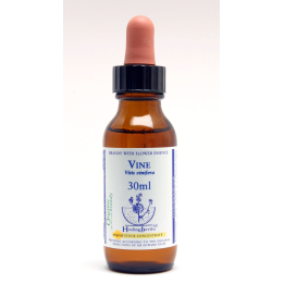 Vine Healing Herbs 30 ml (Vigne) Healing Herbs 1 - mesfleursdebach.com 