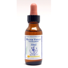 Water Violet Healing Herbs 30 ml (Violette d'Eau ou Hottonie des marais) Healing Herbs 1 - mesfleursdebach.com 