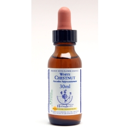 White Chestnut Healing Herbs 30 ml (Marronnier Blanc) Healing Herbs 1 - mesfleursdebach.com 