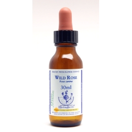 Wild Rose Healing Herbs 30 ml (Églantine) Healing Herbs 1 - mesfleursdebach.com 