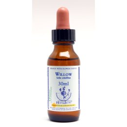 Willow Healing Herbs 30 ml (Saule) Healing Herbs 1 - mesfleursdebach.com 