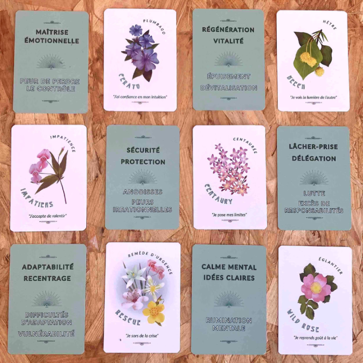 JEU DE CARTES MÉDITENFLEURS® - 39 Cartes illustrées sur les fleurs de Bach par Mathilde JUAN [product.brand] 6 - mesfleursdebach