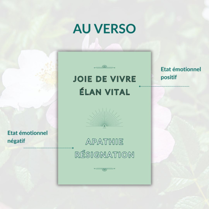JEU DE CARTES MÉDITENFLEURS® - 39 Cartes illustrées sur les fleurs de Bach par Mathilde JUAN [product.brand] 5 - mesfleursdebach