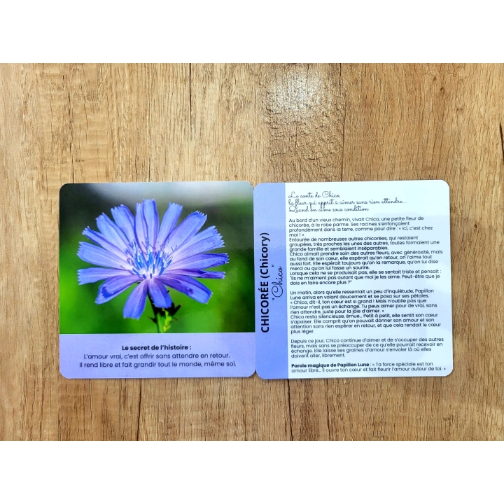 Cartes - Le jardin secret des élixirs floraux par Sarah Lenègre [product.brand] 2 - mesfleursdebach.com 