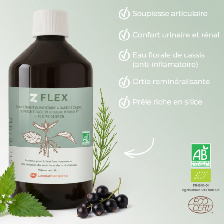Z Flex bio souplesse et flexibilité 1 Litre Laboratoire Mint-e 1 - mesfleursdebach.com 