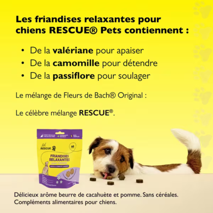 RESCUE PETS FRIANDISES RELAXANTES POUR CHIENS Bach Original Nelsons 3 - mesfleursdebach.com 