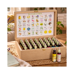 Coffret 38 Fleurs de Bach Original 20 ml + Rescue - Complet