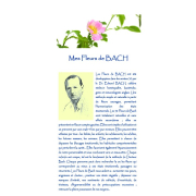 Bloc conseils pour cocher les fleurs, flyers professionnels & fiche de préparation d'élixirs