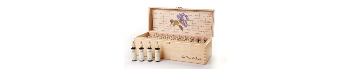 Coffrets vides pour ranger, protéger et déplacer vos flacons Fleurs de BACH Original