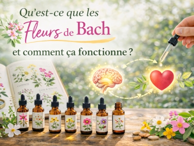 Qu’est-ce que les Fleurs de Bach et comment ça fonctionne ?