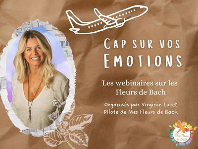 Cap sur nos émotions : découvrez notre série de webinaires gratuits 