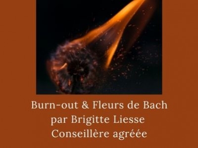 Les Fleurs de Bach et le Burn-out, par Brigitte Liesse, Conseillère agréée
