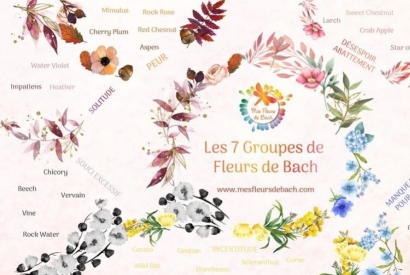Coronavirus et Fleurs de Bach par Catherine Foulonneau