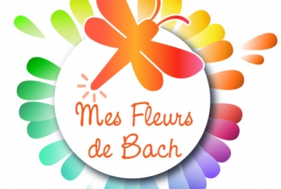 Histoire d'un logo qui a du sens par Virginie Lucet Pilote de Mes Fleurs de Bach