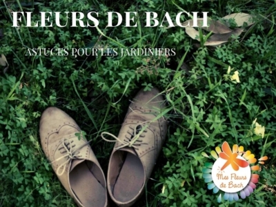 jardiner avec les Fleurs de Bach par Gegory VLAMIS