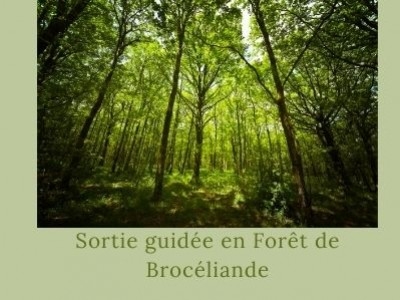 Sortie guidée en Forêt de Brocéliande par Marie-Ange Lobjoit