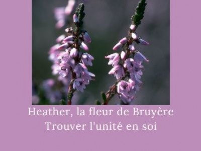 Heather - La Bruyère: Trouver l'unité en soi par Julian Barnard