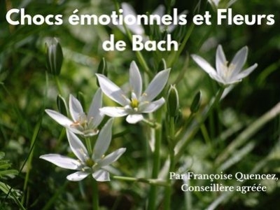 Chocs émotionnels et Fleurs de Bach par Françoise Quencez