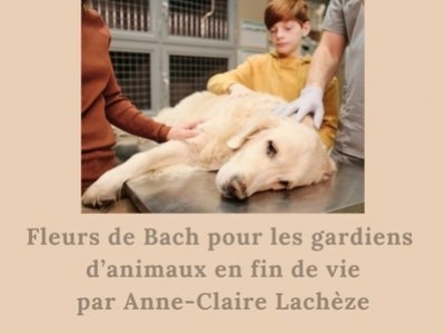 Fleurs de Bach pour les gardiens  d’animaux en fin de vie par Anne-Claire Lachèze