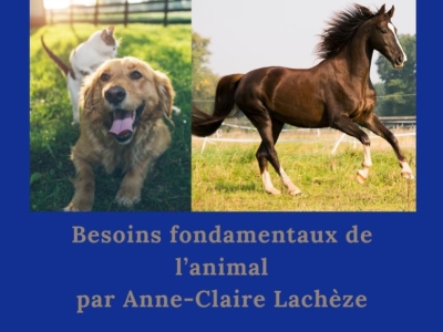 Les besoins fondamentaux de l’animal par Anne-Claire Lachèze