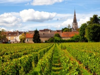 Rencontre des Conseillers en Fleurs de Bach de Bourgogne et Franche-Comté
