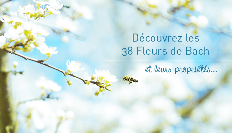 Mes Fleurs de Bach